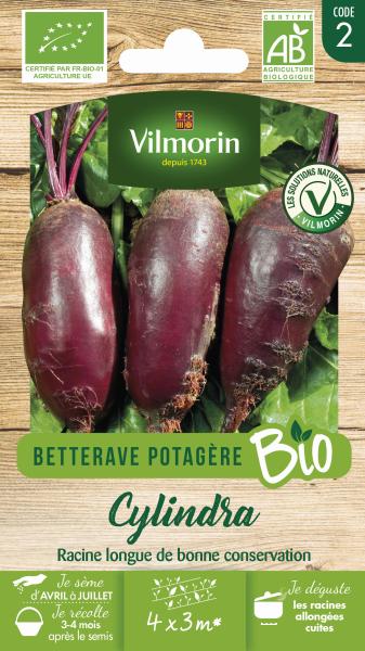Potagères - Betterave Potagère Cylindra - BIO - PACKAGING_RECTO